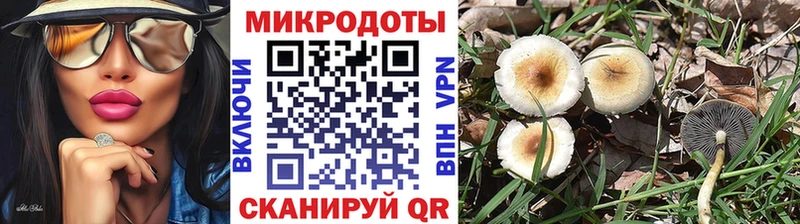 Галлюциногенные грибы мухоморы  Нолинск 